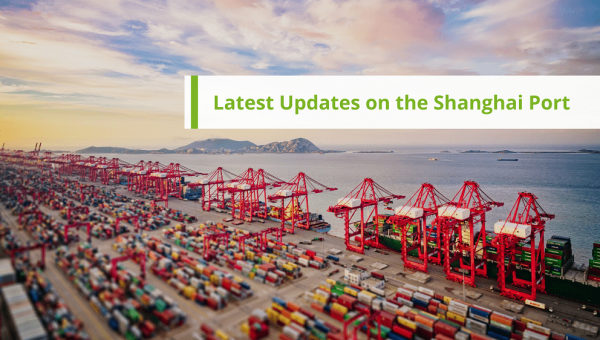 Latest Updates on the Container Situation in Shanghai Port
