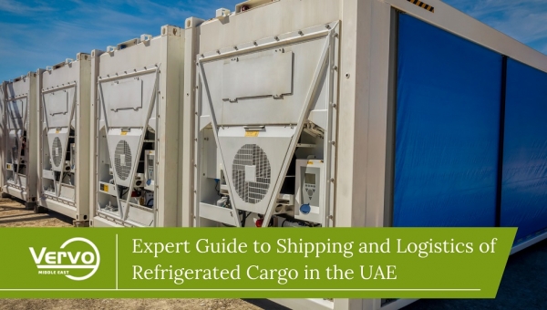 Expert Guide to Shipping and Logistics of Refrigerated Cargo in the UAE
